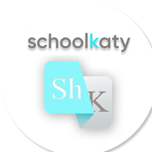 Статистика Дзен Schoolkaty