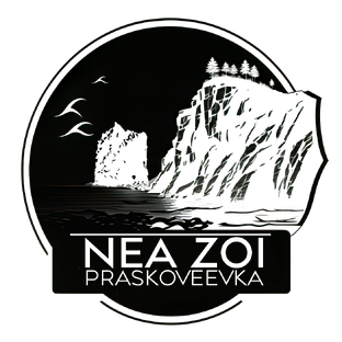 Статистика Дзен NEA ZOI