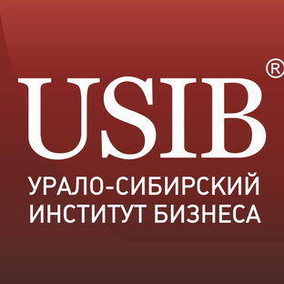 Статистика Дзен USIB | MBA | Бизнес-образование 