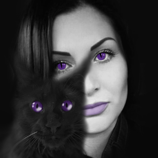 Статистика Дзен annawitchtaro