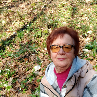 Статистика Дзен Эх, хороша деревенская жизнь.