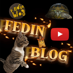 Статистика Дзен Fedin blog