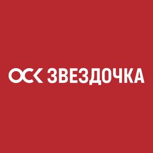 Статистика Дзен ОСК | ЦС Звездочка