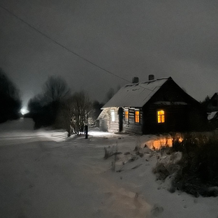 Статистика Дзен Лесная Хижина