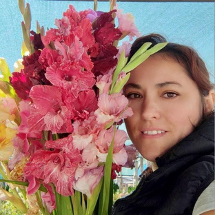 Статистика Дзен Наталья Родионова