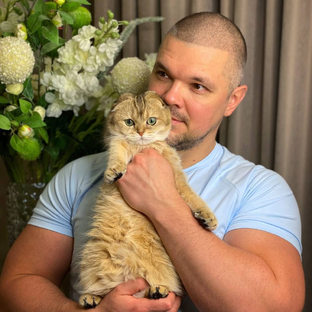 Статистика Дзен Весёлая Семейка 😻Живу с 4-мя котиками