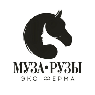 Статистика Дзен Муза Рузы эко-ферма