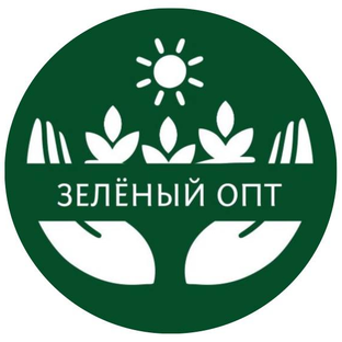 Статистика Дзен Цветы оптом и в розницу "Зеленый опт"