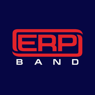 Статистика Дзен ERP band - Умная цифровизация на базе 1С для средних и крупных компаний