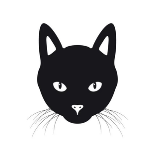 Статистика Дзен BlackCat