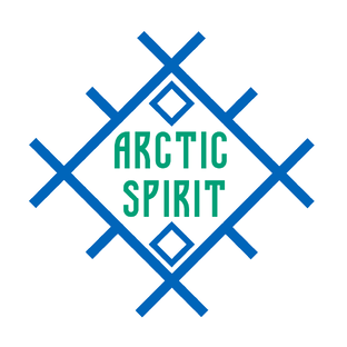 Статистика Дзен Дух Арктики