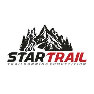 Статистика Дзен StarTrail