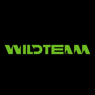 Статистика Дзен WildTeam