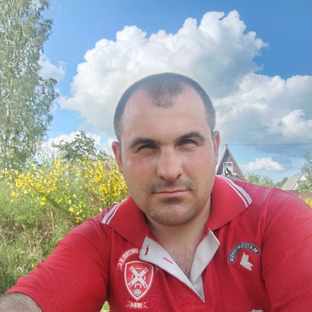 Статистика Дзен Максим Кудин