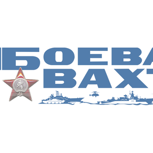 Статистика Дзен Боевая вахта