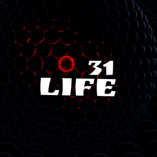 Статистика Дзен Коллекция мгновений с Life31