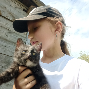 Статистика Дзен Мисс Милана