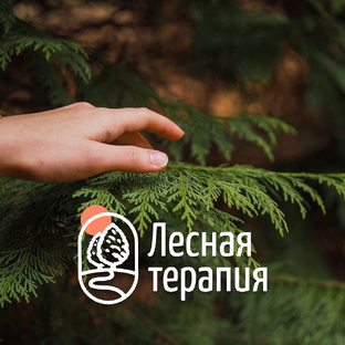 Статистика Дзен Лесная терапия | Синрин-йоку