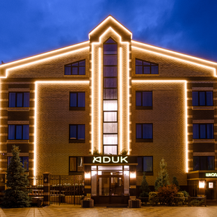 Статистика Дзен Boutique hotel "ADUK"