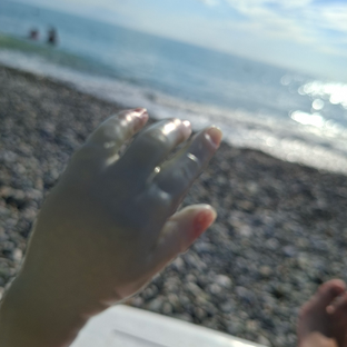 Статистика Дзен 🌊реборны и только🐬