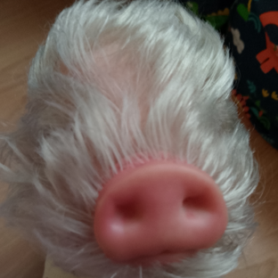Статистика Дзен 🏳️‍⚧️🦭Реборны и я🦭🏳️‍⚧️