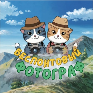 Статистика Дзен беспонтовый фотограф