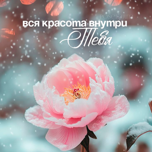 Статистика Дзен Красота Внутри