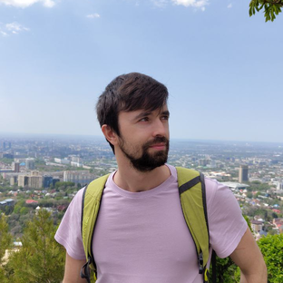 Статистика Дзен Максим Камынин