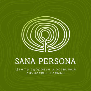 Статистика Дзен Sana Persona