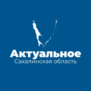 Статистика Дзен Сахалинская область | Актуальное