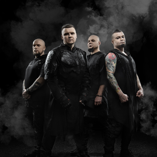 Статистика Дзен DIGIMORTAL