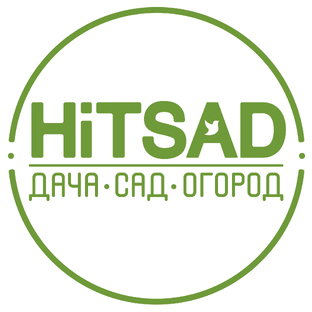 Статистика Дзен HITSAD TV