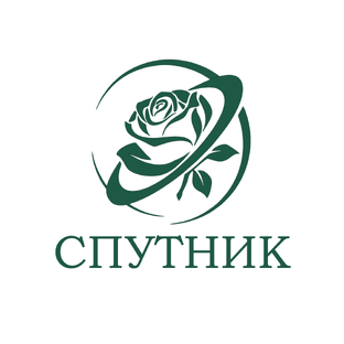 Статистика Дзен Цветочная компания "Спутник"