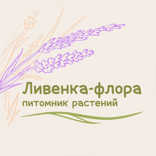 Статистика Дзен Семейный питомник растений Ливенка-флора