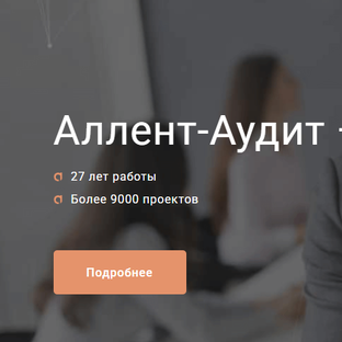Статистика Дзен Безупречная налоговая отчетность и защита от рисков с «Аллент-Аудит»