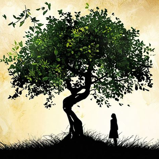 Дзен Генеалогия с вдохновением | Екатерина Зиновьева статистика