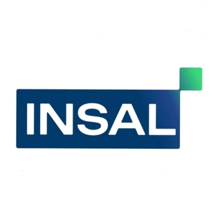 Статистика Дзен INSAL