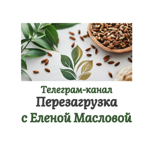 Статистика Дзен Перезагрузка с Еленой Масловой