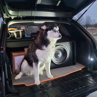 Статистика Дзен Sergei-BMW X5 ✅꧁🐺☞♥🆇🅰🅲🅺🅸♥☜🐺꧂