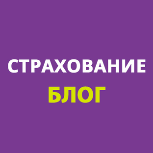 Статистика Дзен Страхование ОСАГО | КАСКО | ИПОТЕКА | ДМС