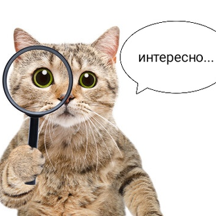 Статистика Дзен Екатерина Шеметова
