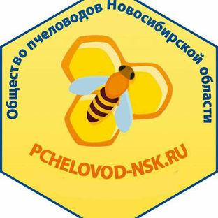 Дзен Общество пчеловодов Новосибирской области статистика