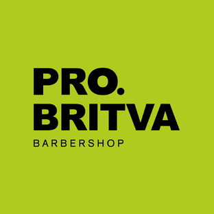 Статистика Дзен PRO.BRITVA - ЗАКУЛИСЬЕ БИЗНЕСА