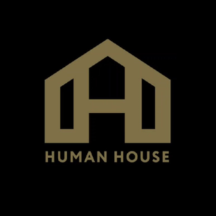 Статистика Дзен Human House. Строительство каменных домов