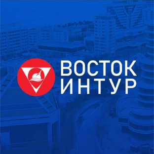 Статистика Дзен ВОСТОК ИНТУР
