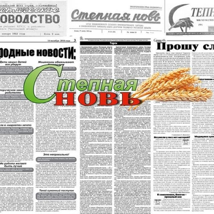 Статистика Дзен Степная новь