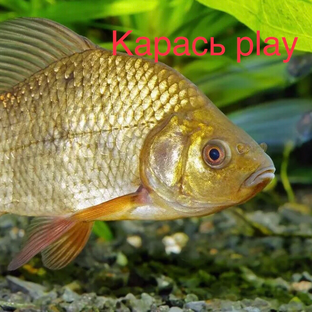 Логотип канала Карась play