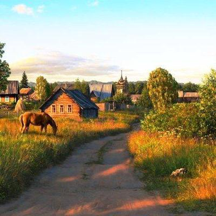Статистика Дзен Деревня