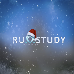 Статистика Дзен RuStudy Consuting