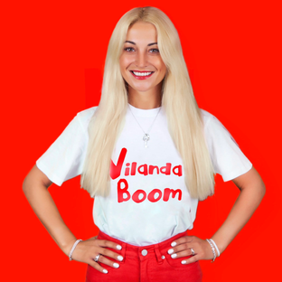 Статистика Дзен Vilandaboom